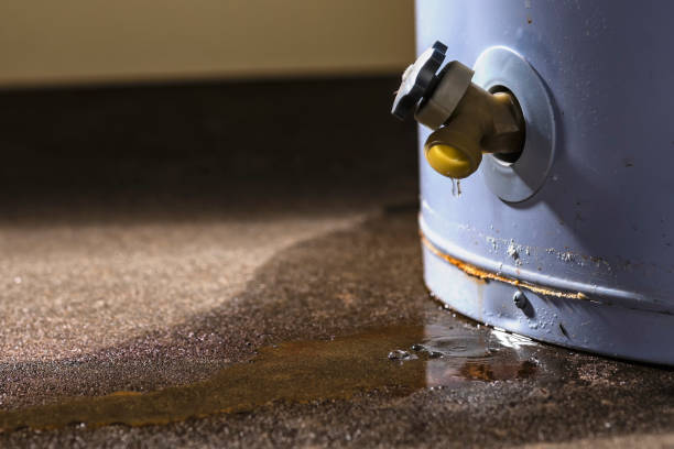 Best Professional water damage repair  in Dunwoody, GA