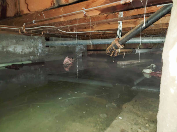 Best Water damage cleanup near me  in Dunwoody, GA