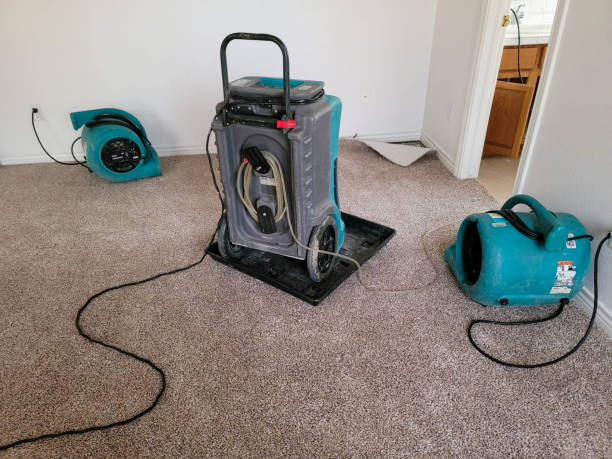 Best Water damage restoration near me  in Dunwoody, GA