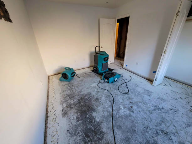Best Sewage cleanup and water damage restoration  in Dunwoody, GA