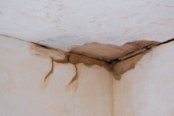 Best 24-hour water damage restoration  in Dunwoody, GA