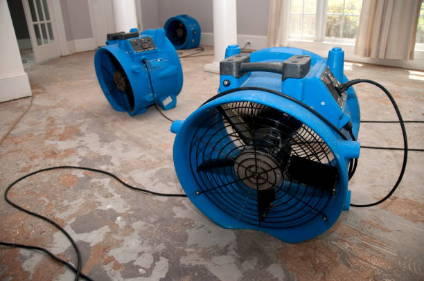 Best Local water damage restoration  in Dunwoody, GA