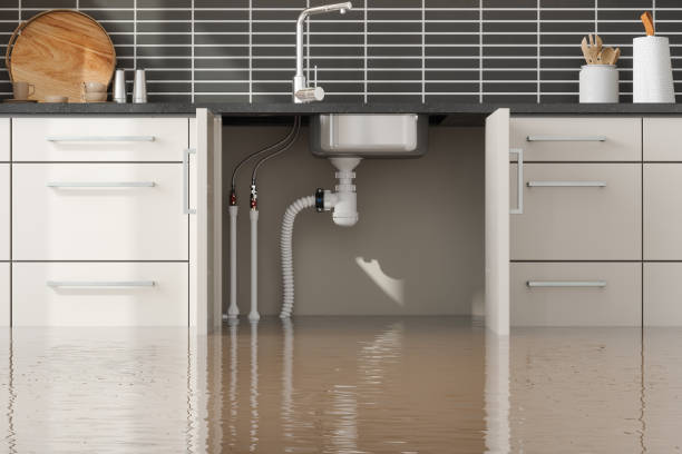 Best Flood damage cleanup  in Dunwoody, GA