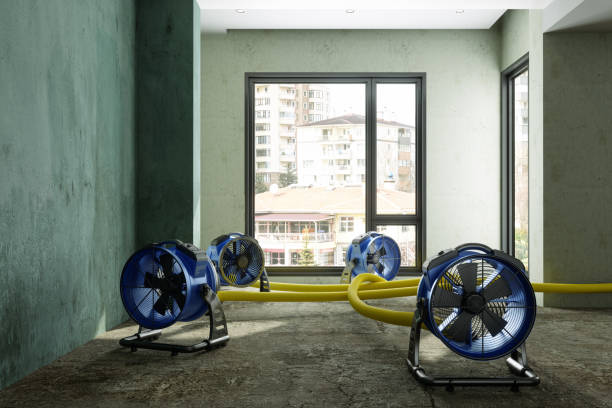 Best Ceiling water damage repair  in Dunwoody, GA