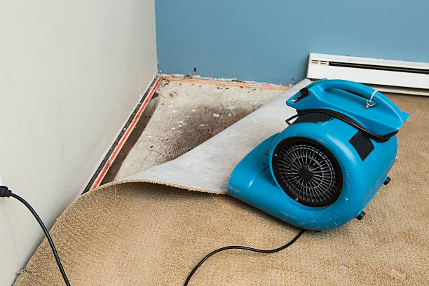 Best Flooded house restoration  in Dunwoody, GA
